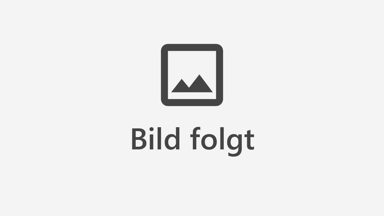 Bild folgt